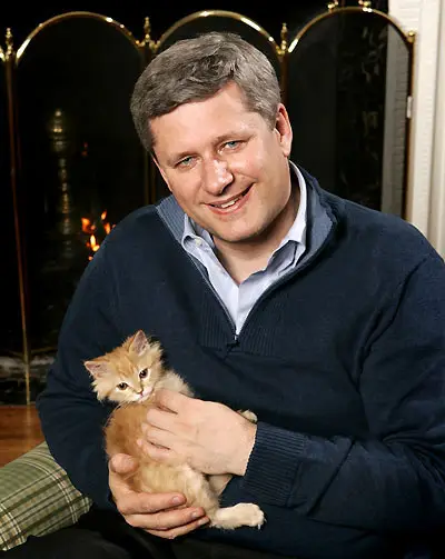 Stephen Harper with kitten
